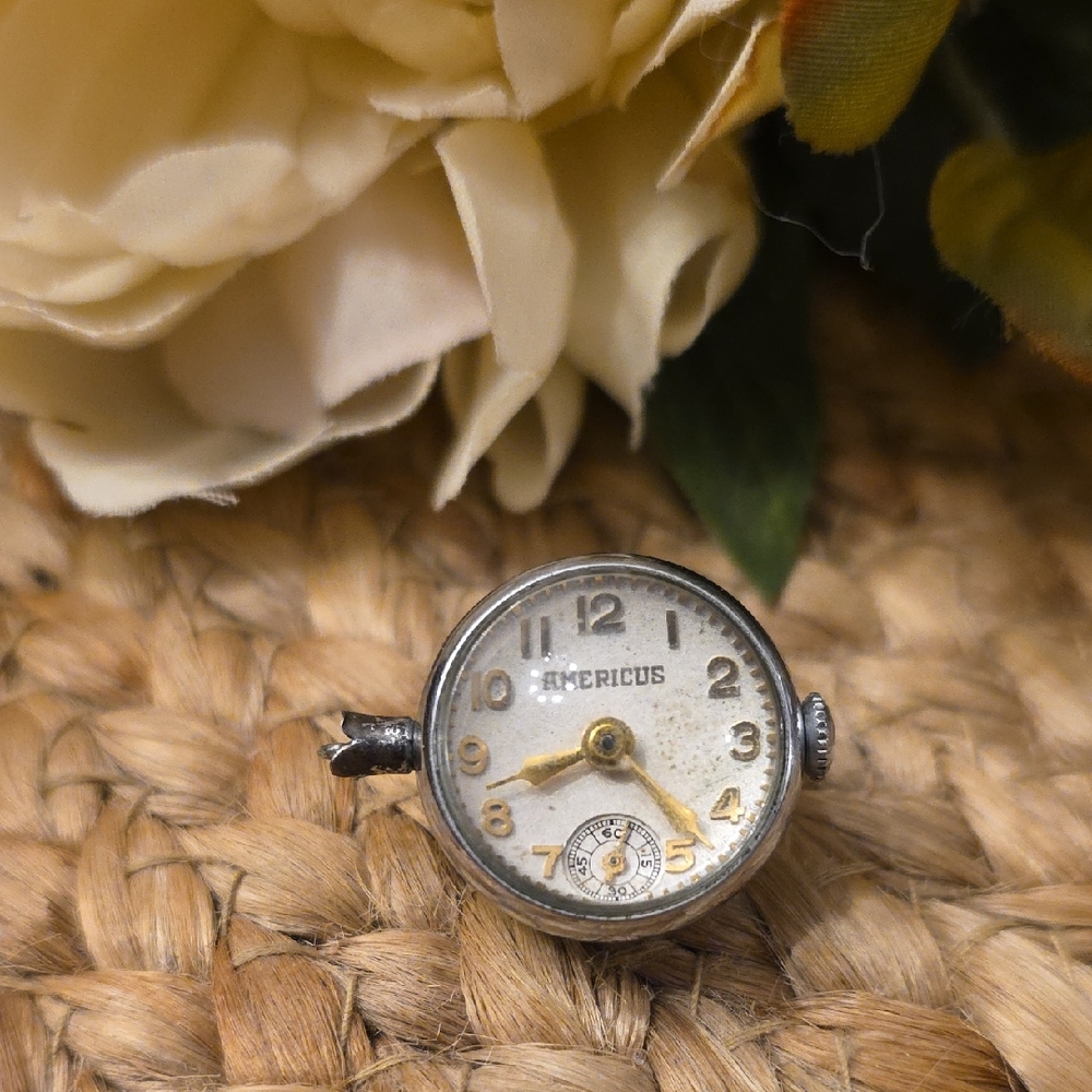 Silver Americus Bubble Watch Face - image 1